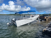 ABELLY 580FS BARCO DE FESHSEEKER